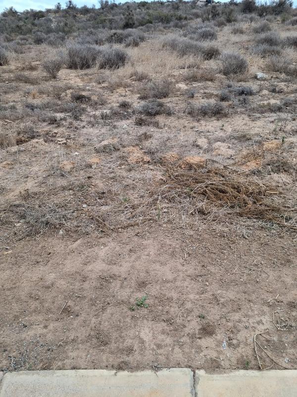 0 Bedroom Property for Sale in Saldanha Rural Western Cape